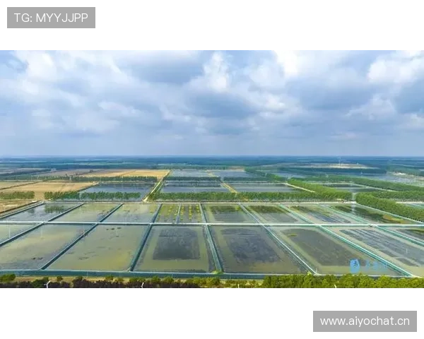 以东升农业集团为核心推进现代农业产业高质量发展新格局建设路径