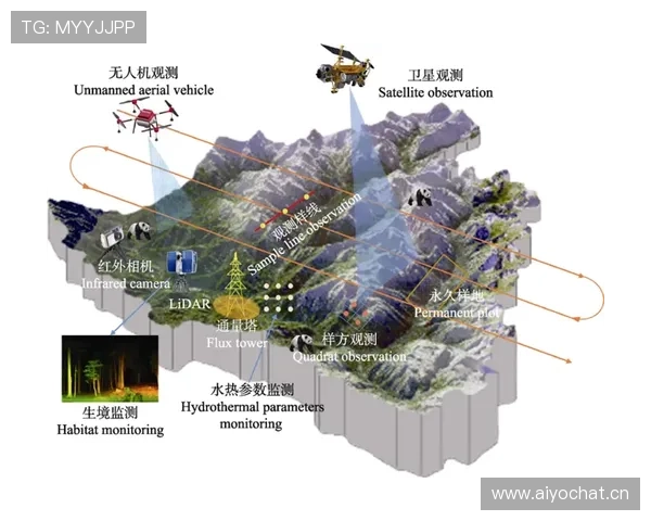 基于星空地一体化遥感监测系统的多尺度智能感知与应用体系研究